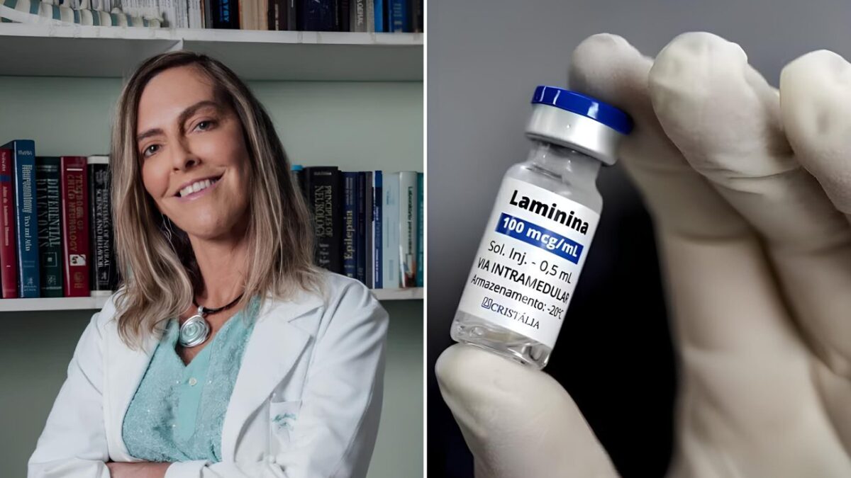 Pesquisa brasileira avança no tratamento de lesões na medula e reacende esperança para paraplégicos